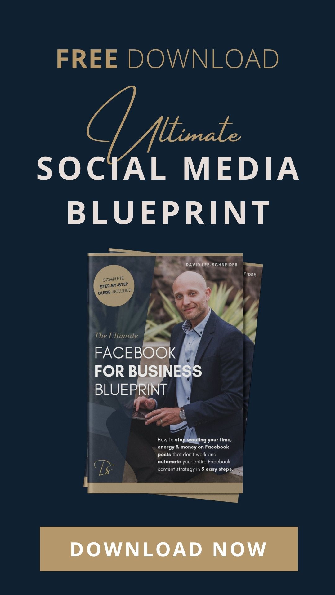 Ultimate Social Media Blueprint - David Lee-Schneider
